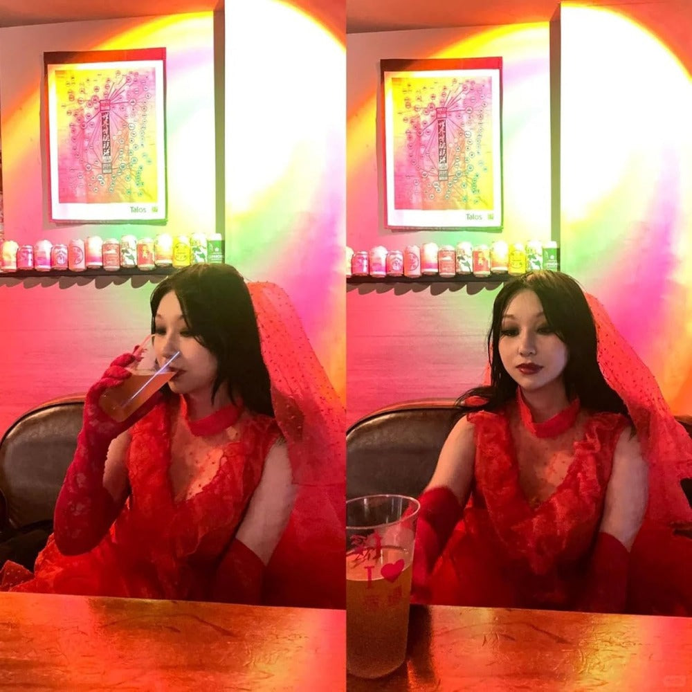 Dames Gothic Halloween Film Kostuum Jurk | Kant Maxi