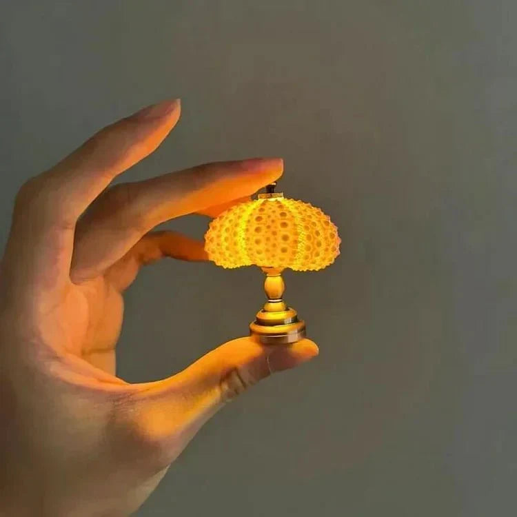 DIY Zee-egel Nachtlamp