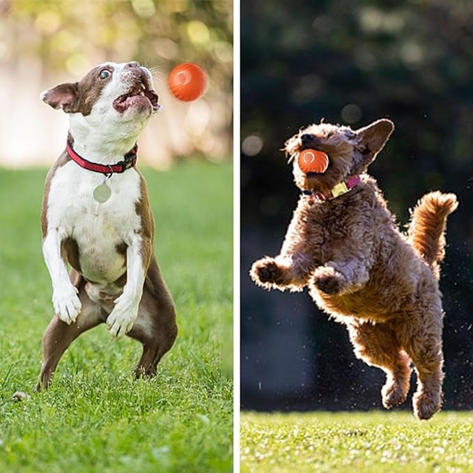 BarkBounce - Interactieve Honden Speelbal