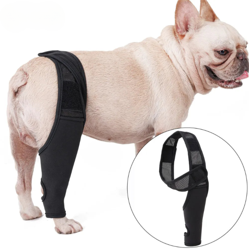 PootVitaal Kniebandage voor Honden – Ondersteuning bij Gewrichtspijn en Revalidatie