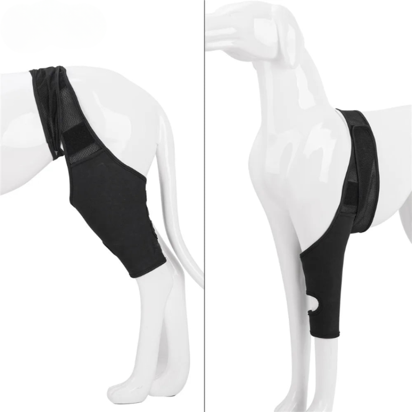PootVitaal Kniebandage voor Honden – Ondersteuning bij Gewrichtspijn en Revalidatie