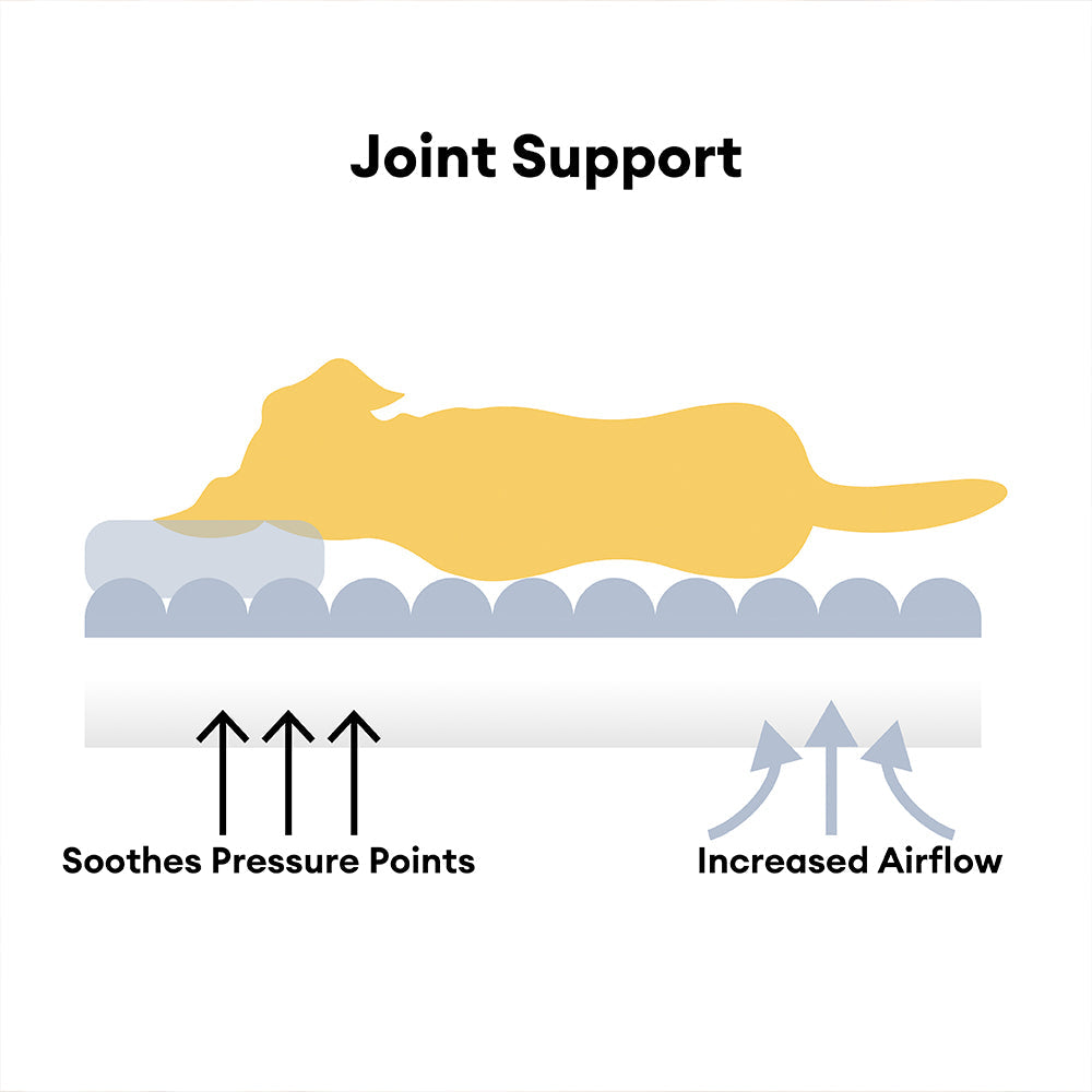 PawCushion | wasbare orthopedische slaapbank voor huisdieren