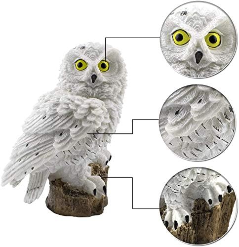 SolarGlow Tuinlamp | Milieuvriendelijke solar lamp voor een levendige buitenambiance