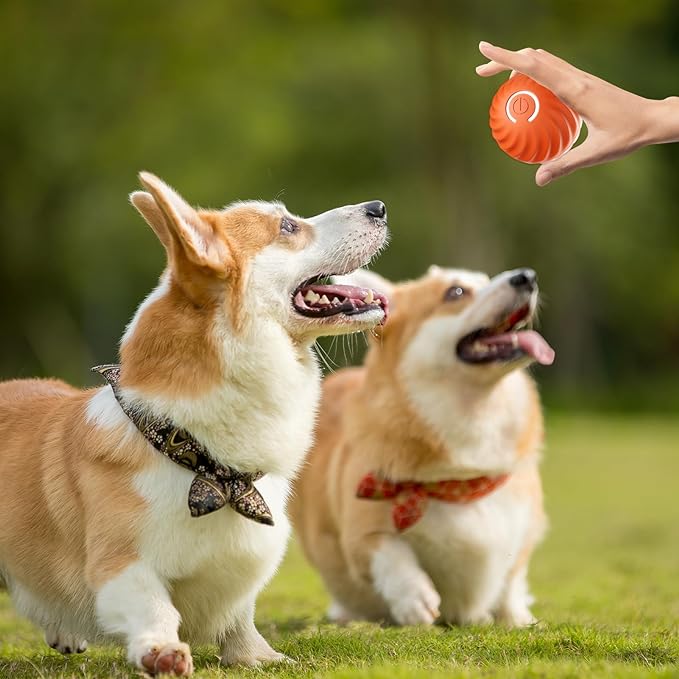 BarkBounce - Interactieve Honden Speelbal