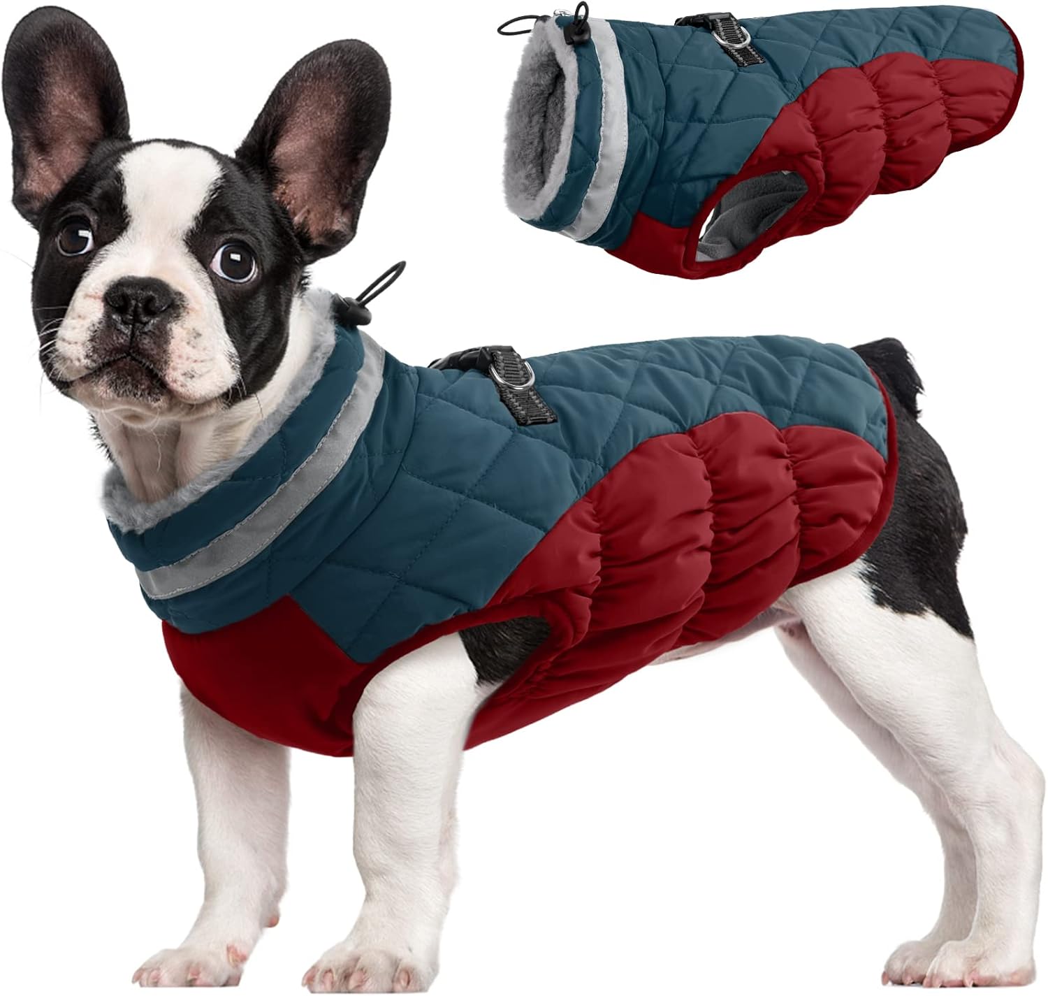 SafeWalk Winterharnas Jas – Waterdichte hondenjas met reflectie en fleecevoering
