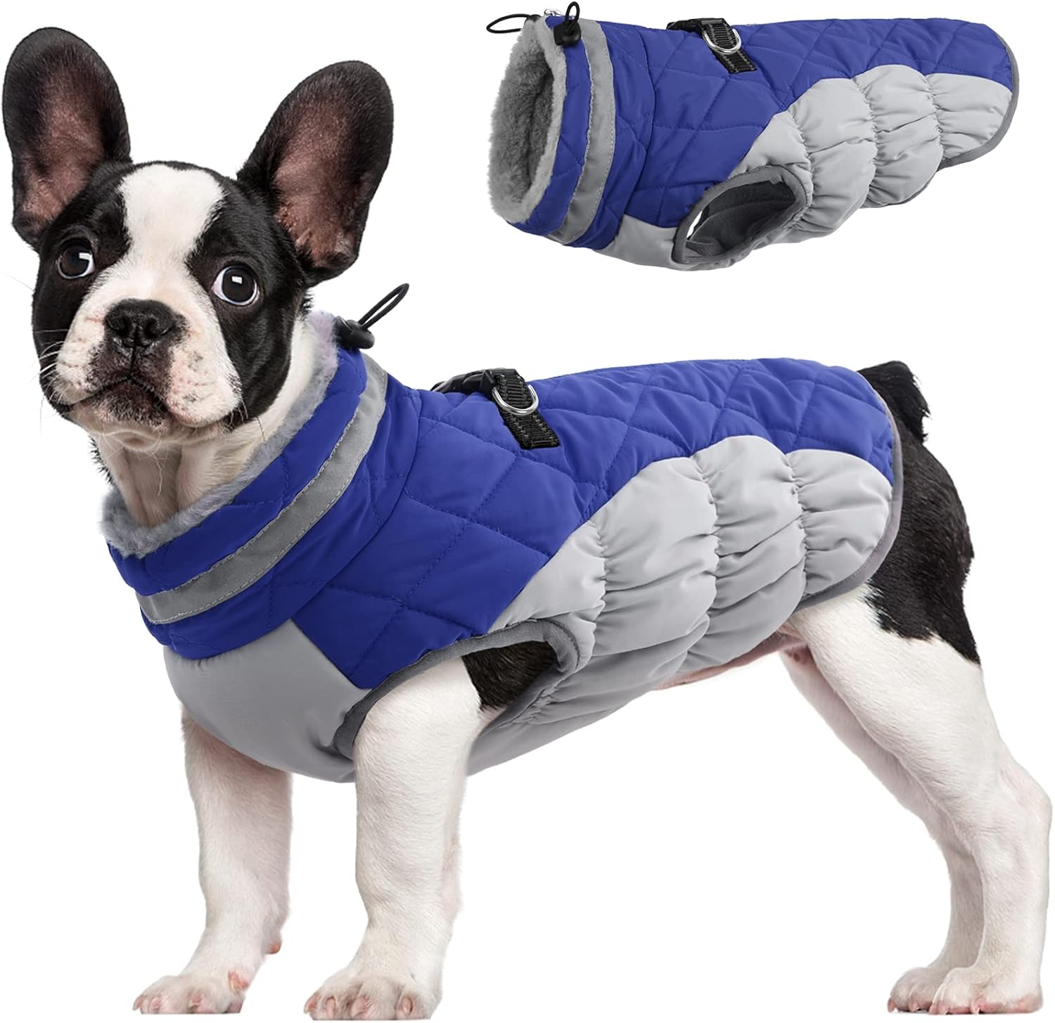 SafeWalk Winterharnas Jas – Waterdichte hondenjas met reflectie en fleecevoering