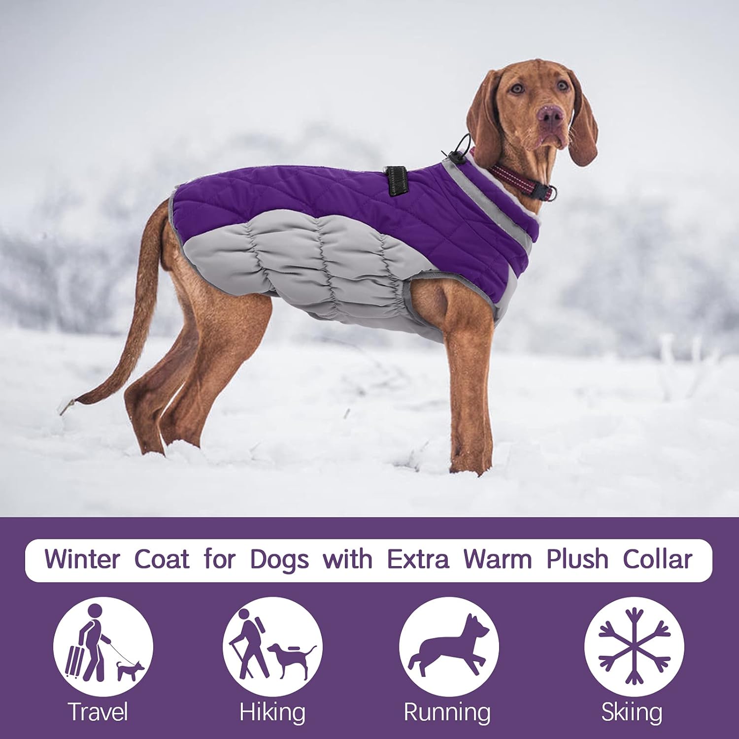 SafeWalk Winterharnas Jas – Waterdichte hondenjas met reflectie en fleecevoering