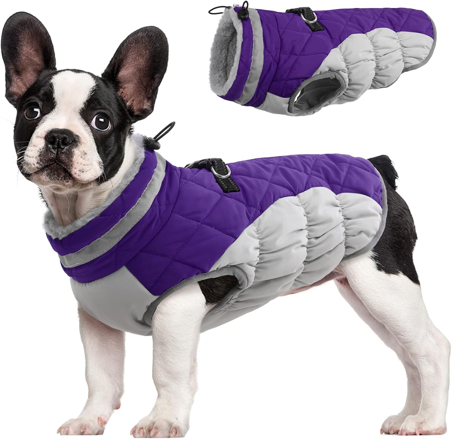 SafeWalk Winterharnas Jas – Waterdichte hondenjas met reflectie en fleecevoering