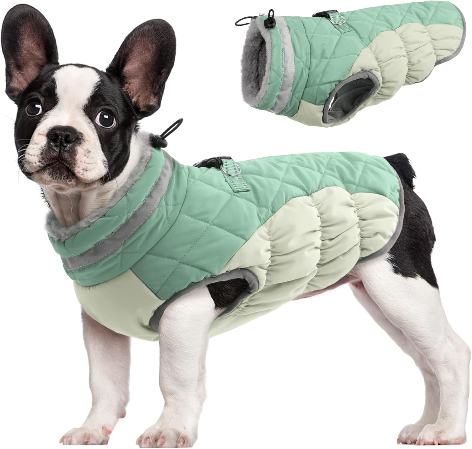 SafeWalk Winterharnas Jas – Waterdichte hondenjas met reflectie en fleecevoering