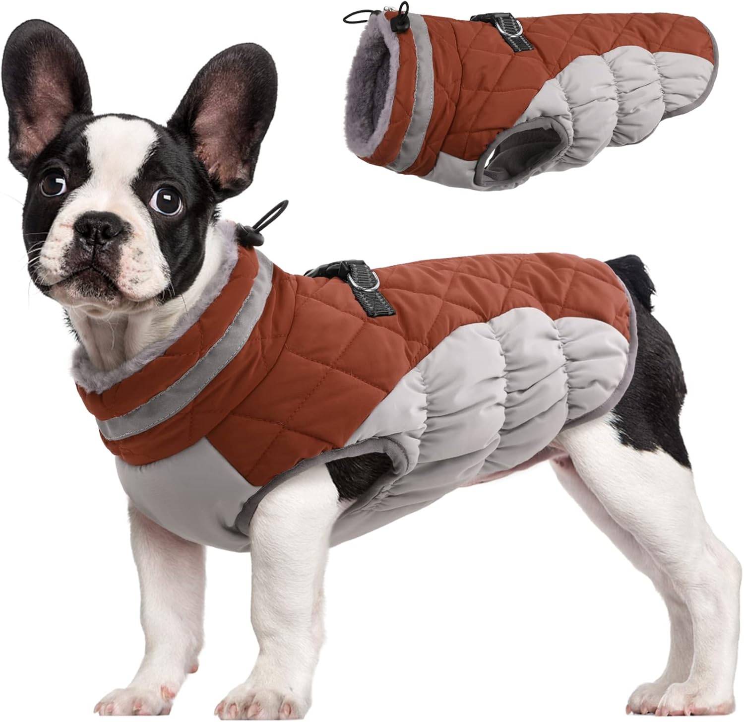 SafeWalk Winterharnas Jas – Waterdichte hondenjas met reflectie en fleecevoering