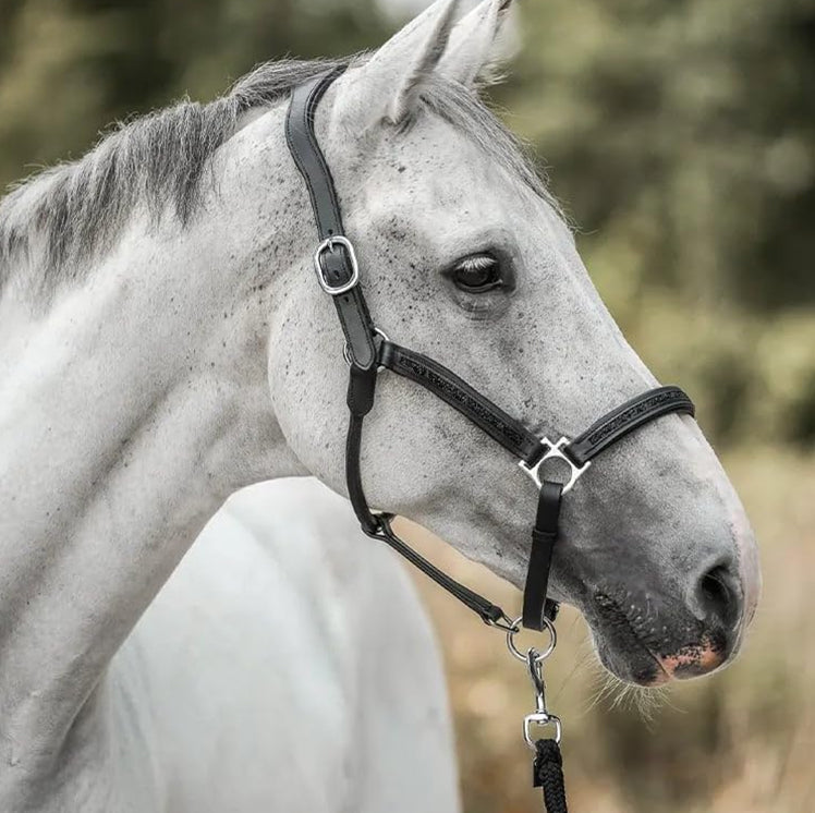 EquiTrend | 2025 Adventskalender voor Paardenliefhebbers