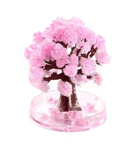 MagicGrow Kerstboom | Zie de magie van Kerstmis ontvouwen