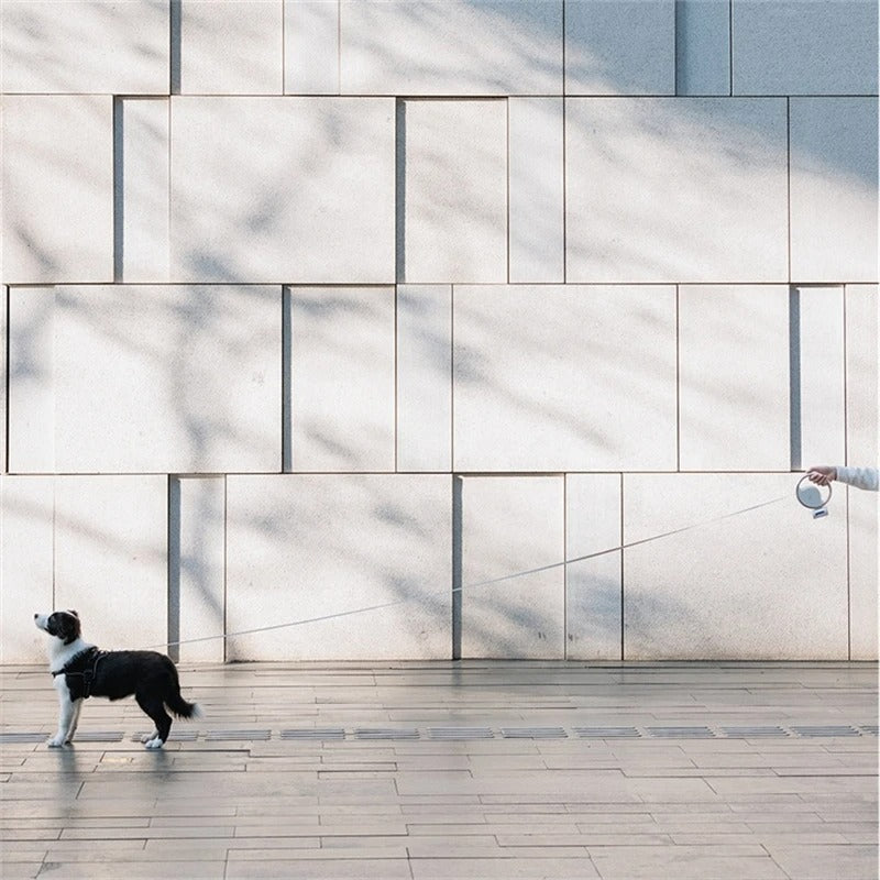 Automatische Hondenlijn LumoLeash | Met LED-licht & ergonomische grip | Terugtrekmechanisme | Voor kleine & middelgrote honden