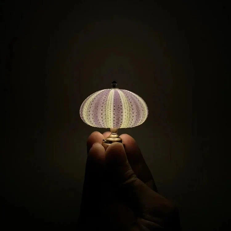DIY Zee-egel Nachtlamp