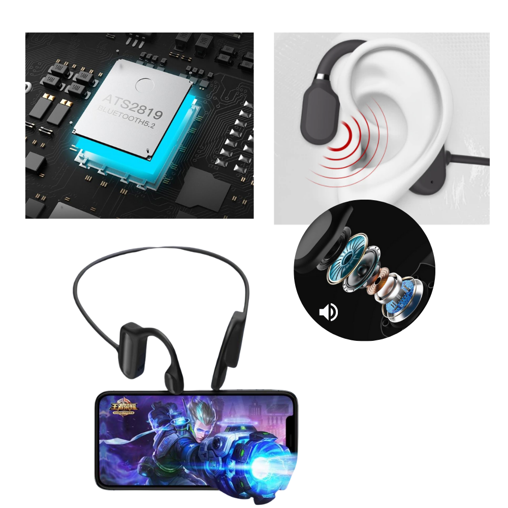 Botgeleiding Hoofdtelefoons