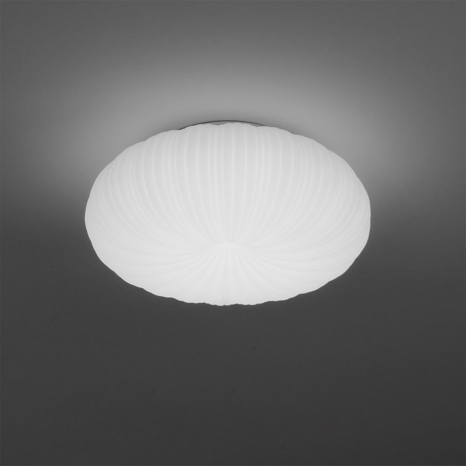 Robby Plafondlamp