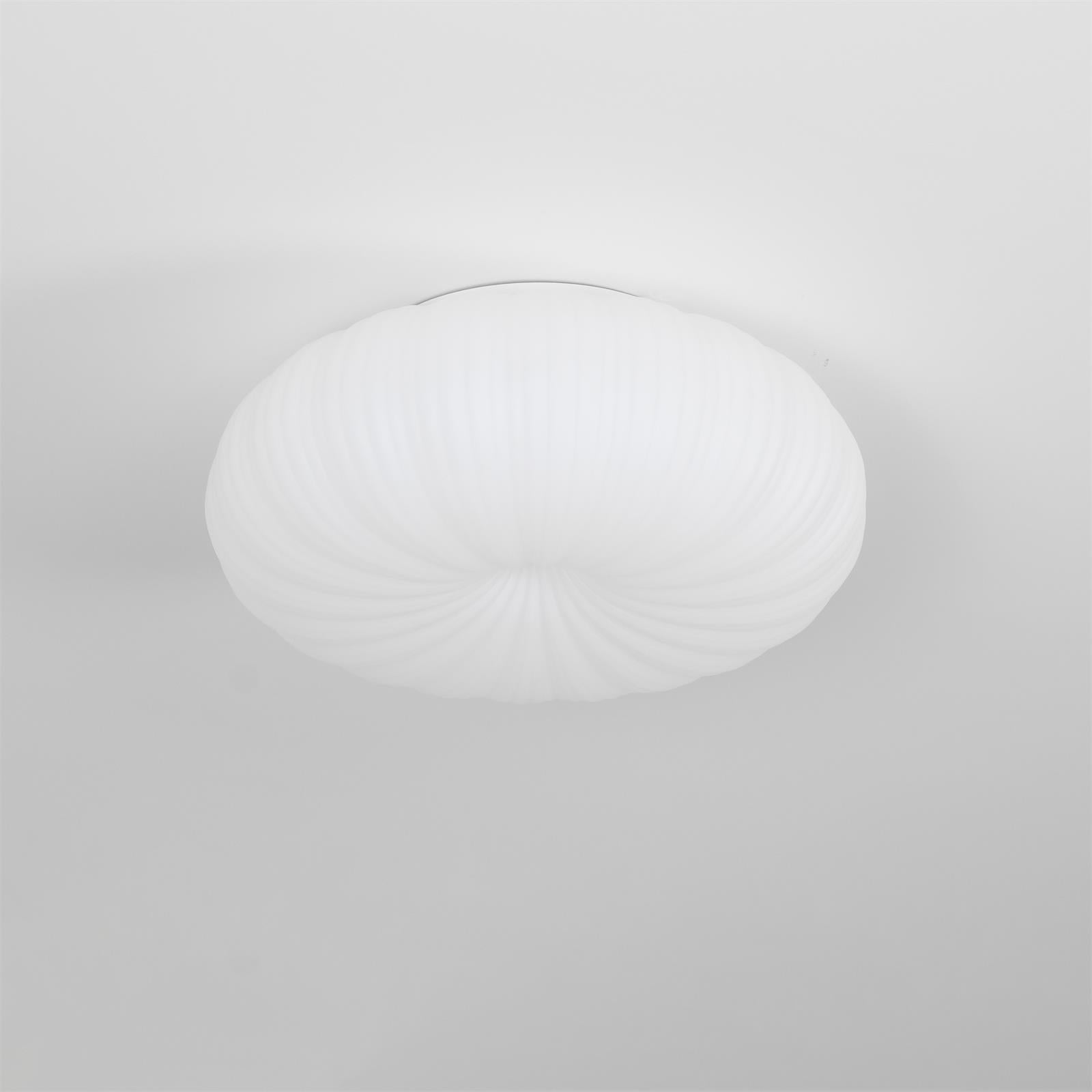 Robby Plafondlamp