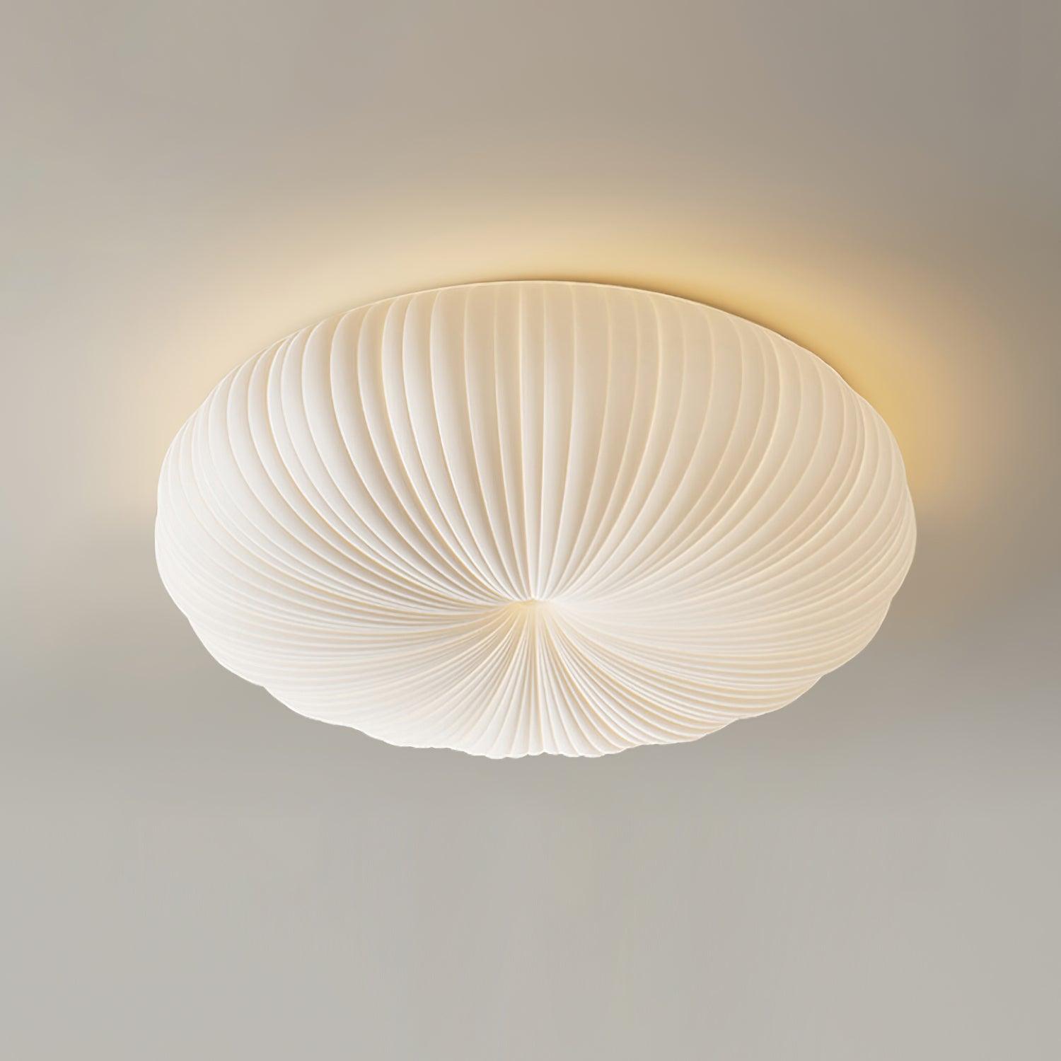Robby Plafondlamp