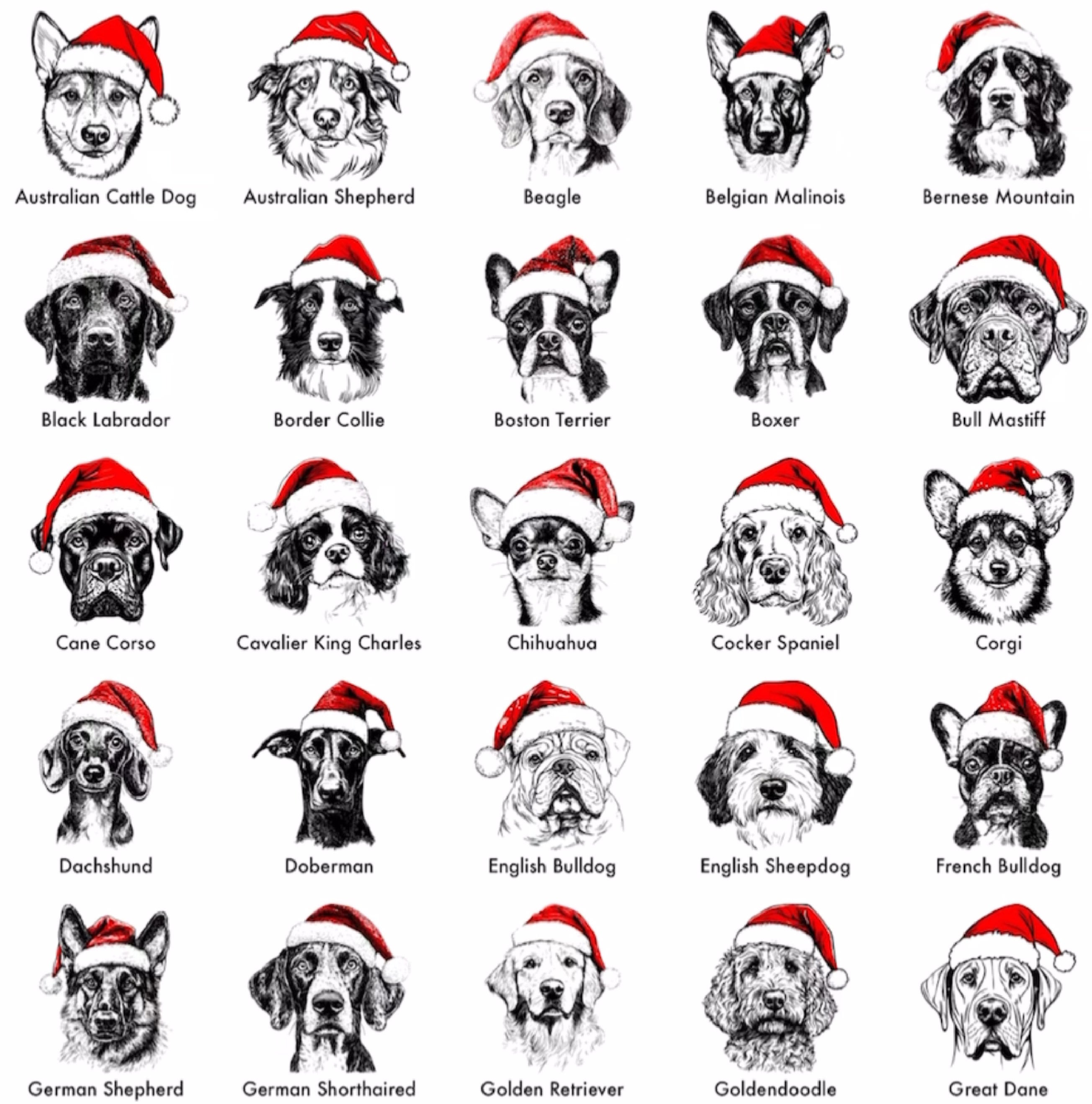 Santa Paws - Kerst-Hondentrui