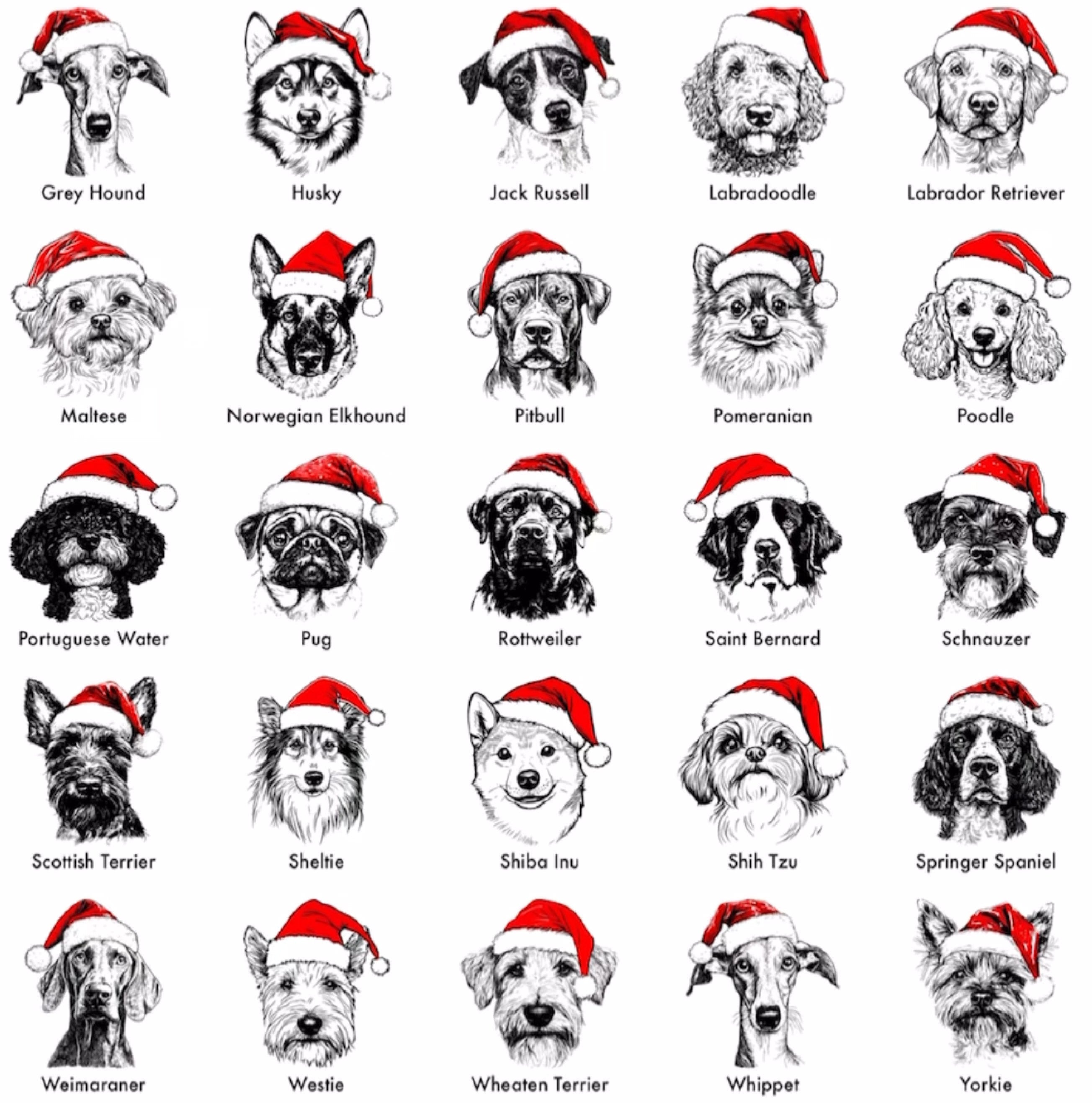 Santa Paws - Kerst-Hondentrui