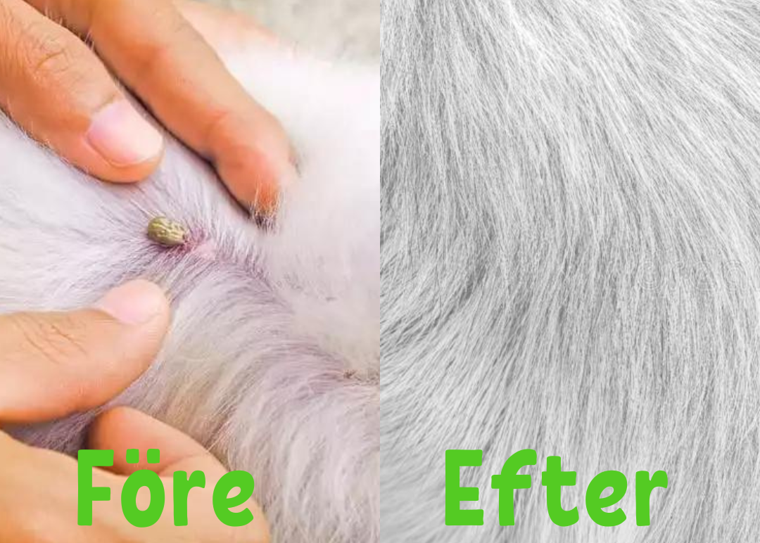 PetSafe | Multi-Bescherming Halsband tegen Vlooien en Teken