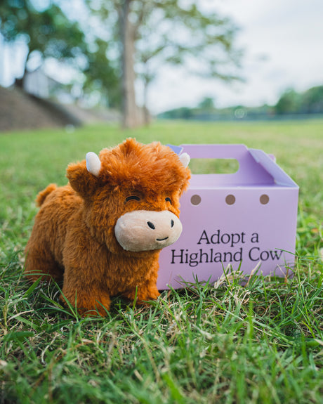 Het Hoogland Koe Pluche - Geweldig Cadeau