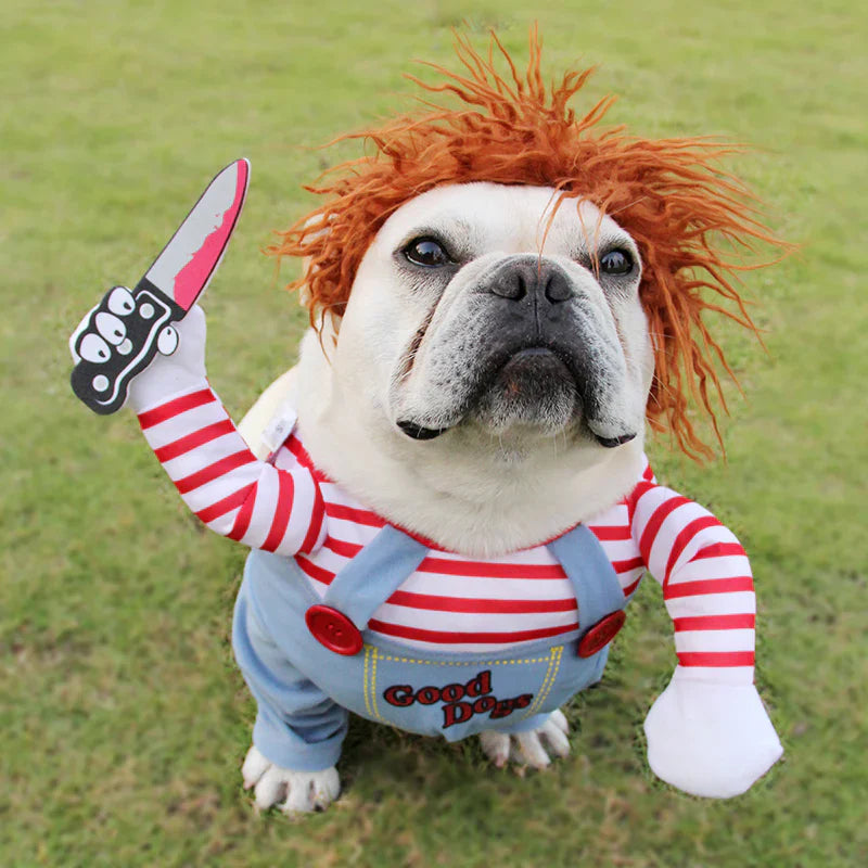 Halloween Hond Kostuum Grappige Huisdier Outfit