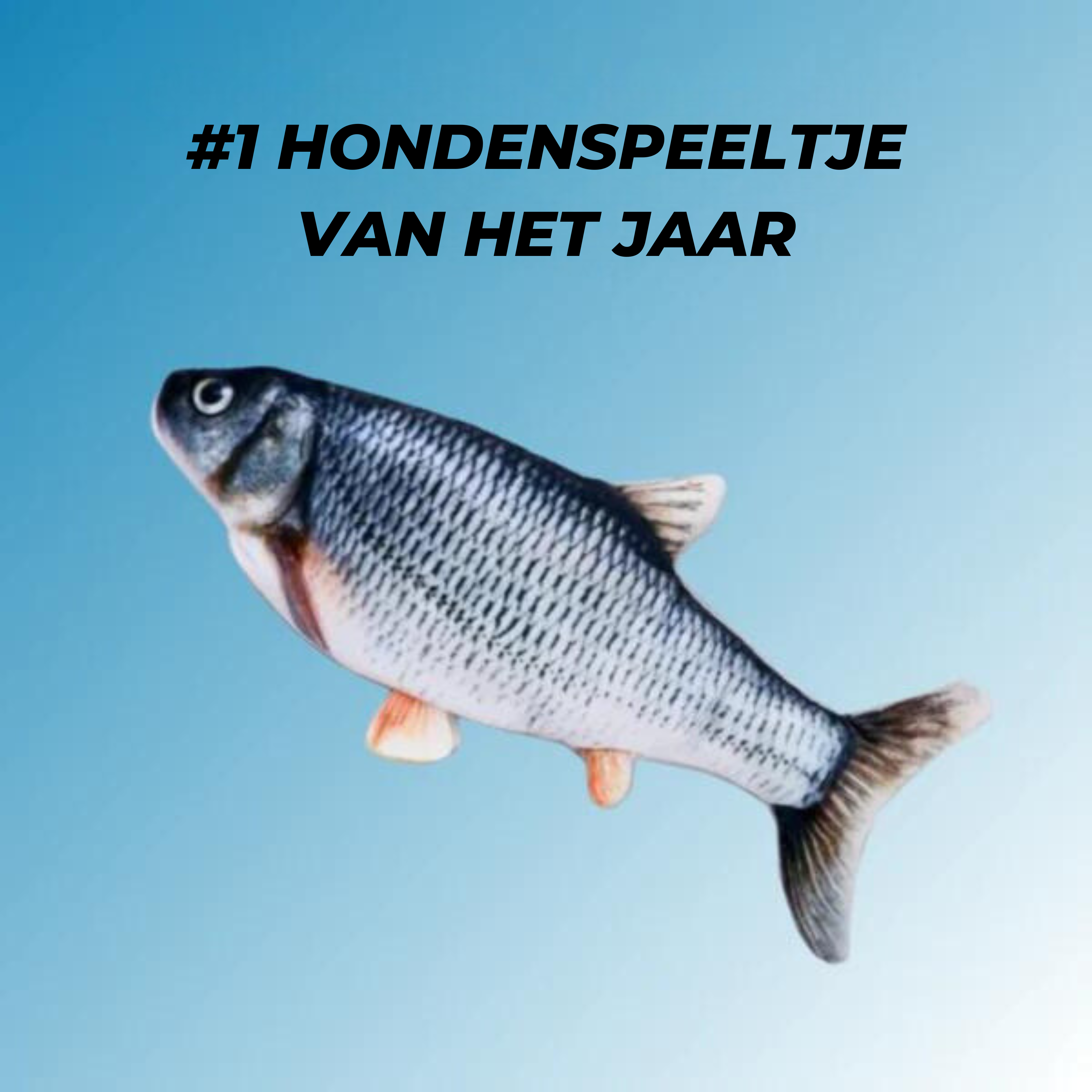 Interactief Hondenspeelgoed - Realistisch Bewegende Vis met Bewegingssensor, Oplaadbare Batterij, Veilig voor Alle Honden