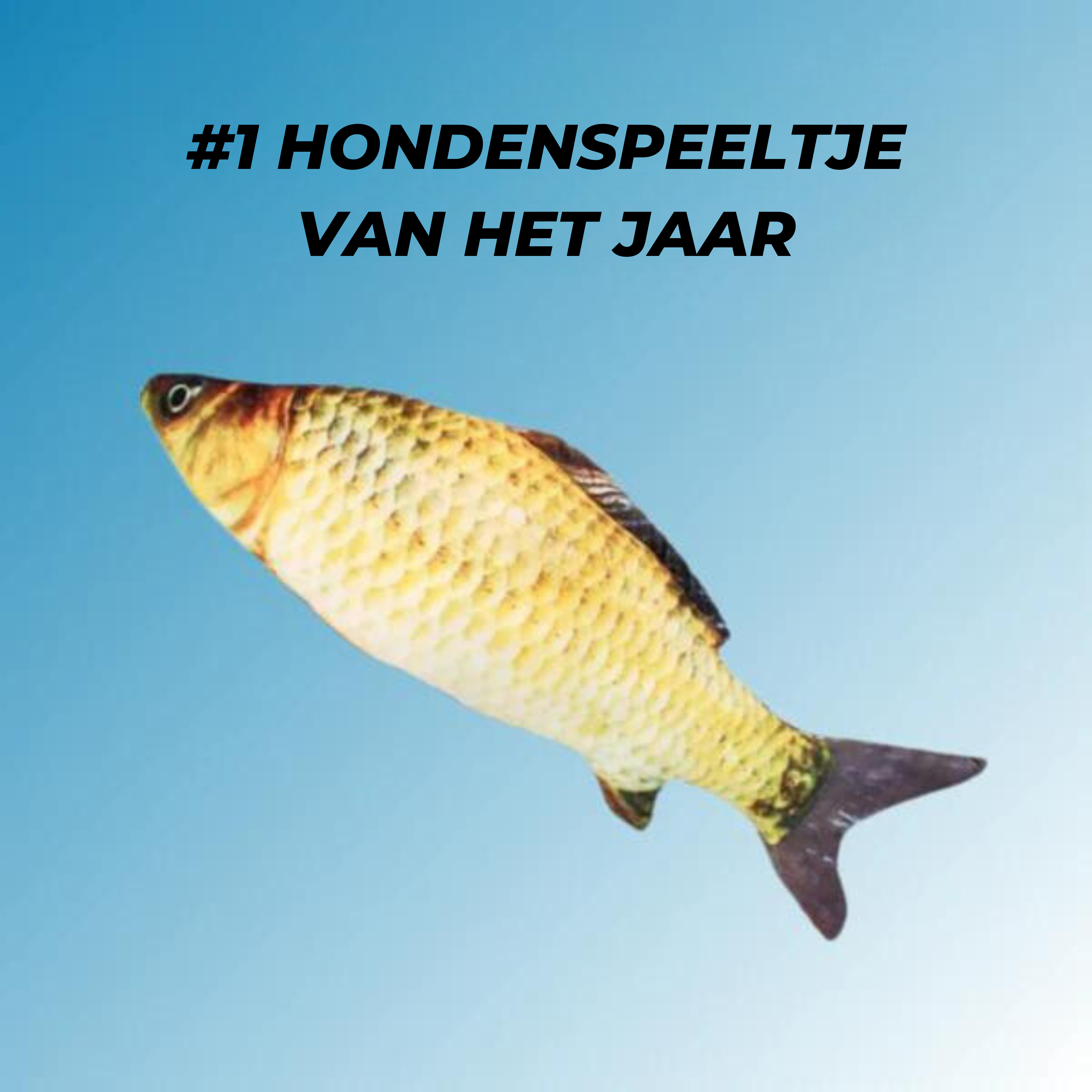 Interactief Hondenspeelgoed - Realistisch Bewegende Vis met Bewegingssensor, Oplaadbare Batterij, Veilig voor Alle Honden