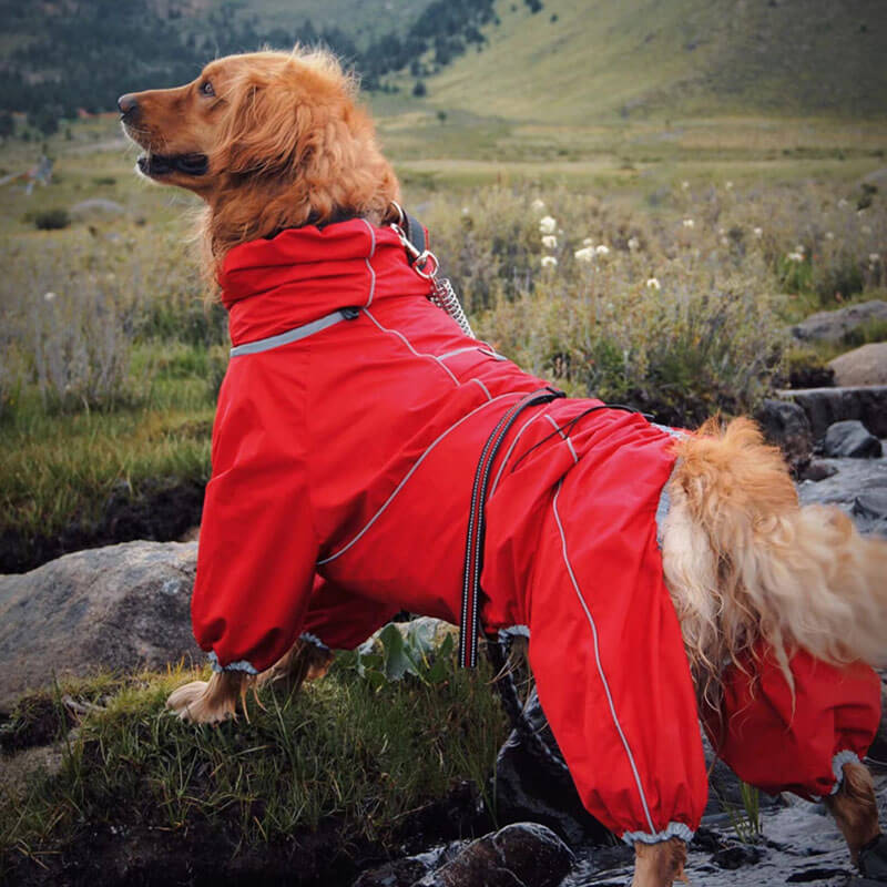 Waterdichte Hondenregenjas – Verstelbare Outdoor Jas voor Honden