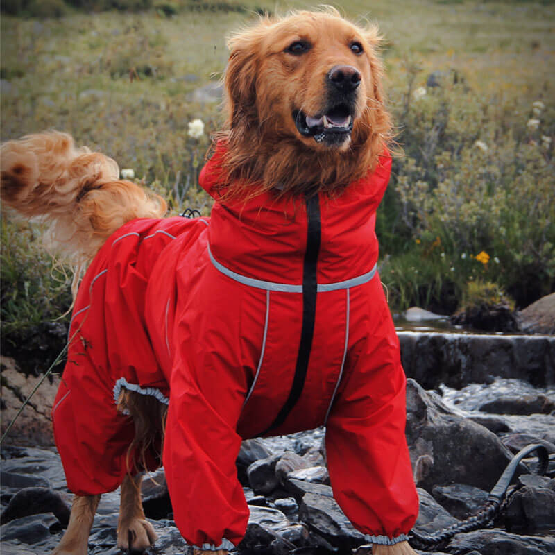 Waterdichte Hondenregenjas – Verstelbare Outdoor Jas voor Honden