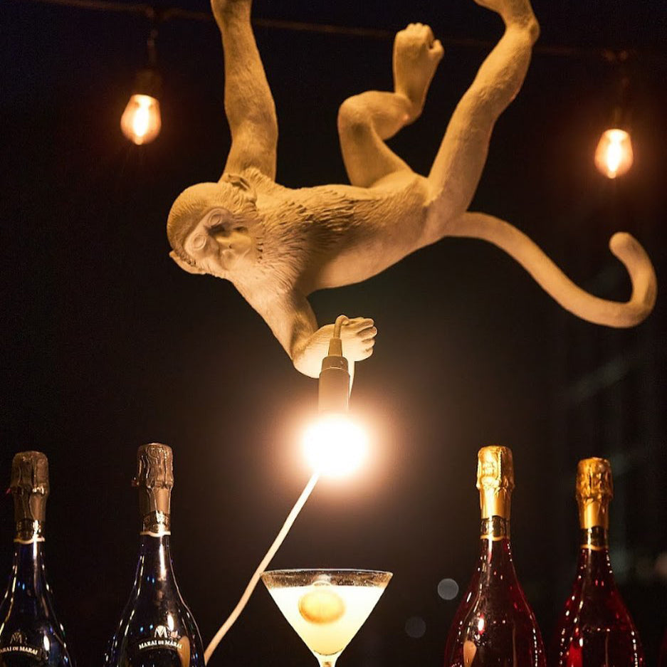 Frendorf | Aap Hanglamp | Sculpturaal Design Object