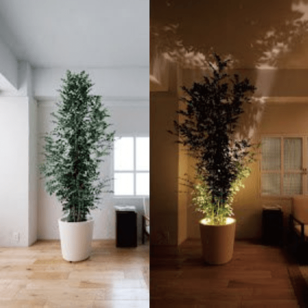 Projektorlampe Viva - LED Lichtbron - Compact Ontwerp