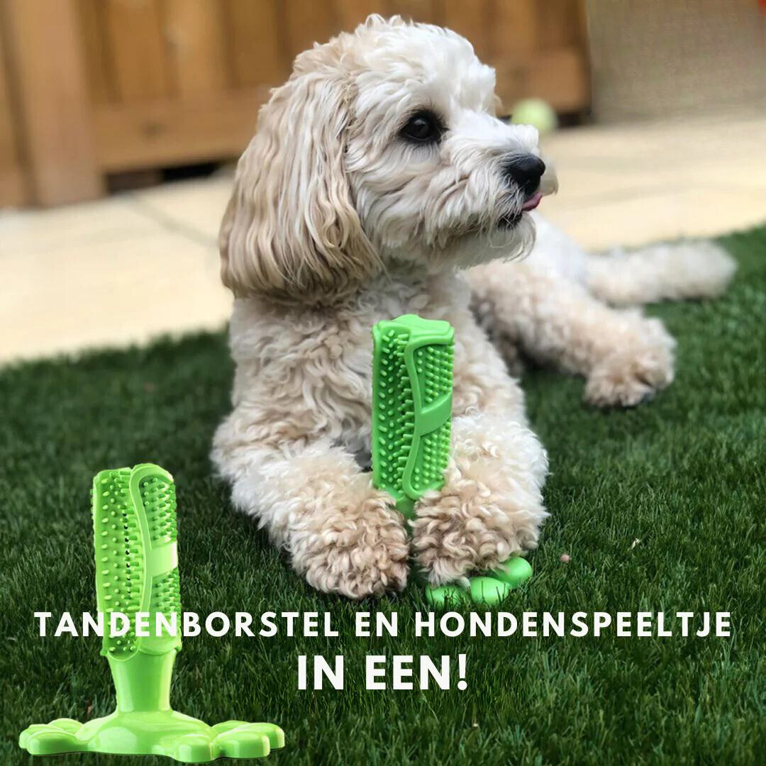 Duurzaam Hondentandenborstel Speelgoed – Sterk Natuurrubber Kauwspeelgoed voor Tandheelkundige Gezondheid en Frisse Adem