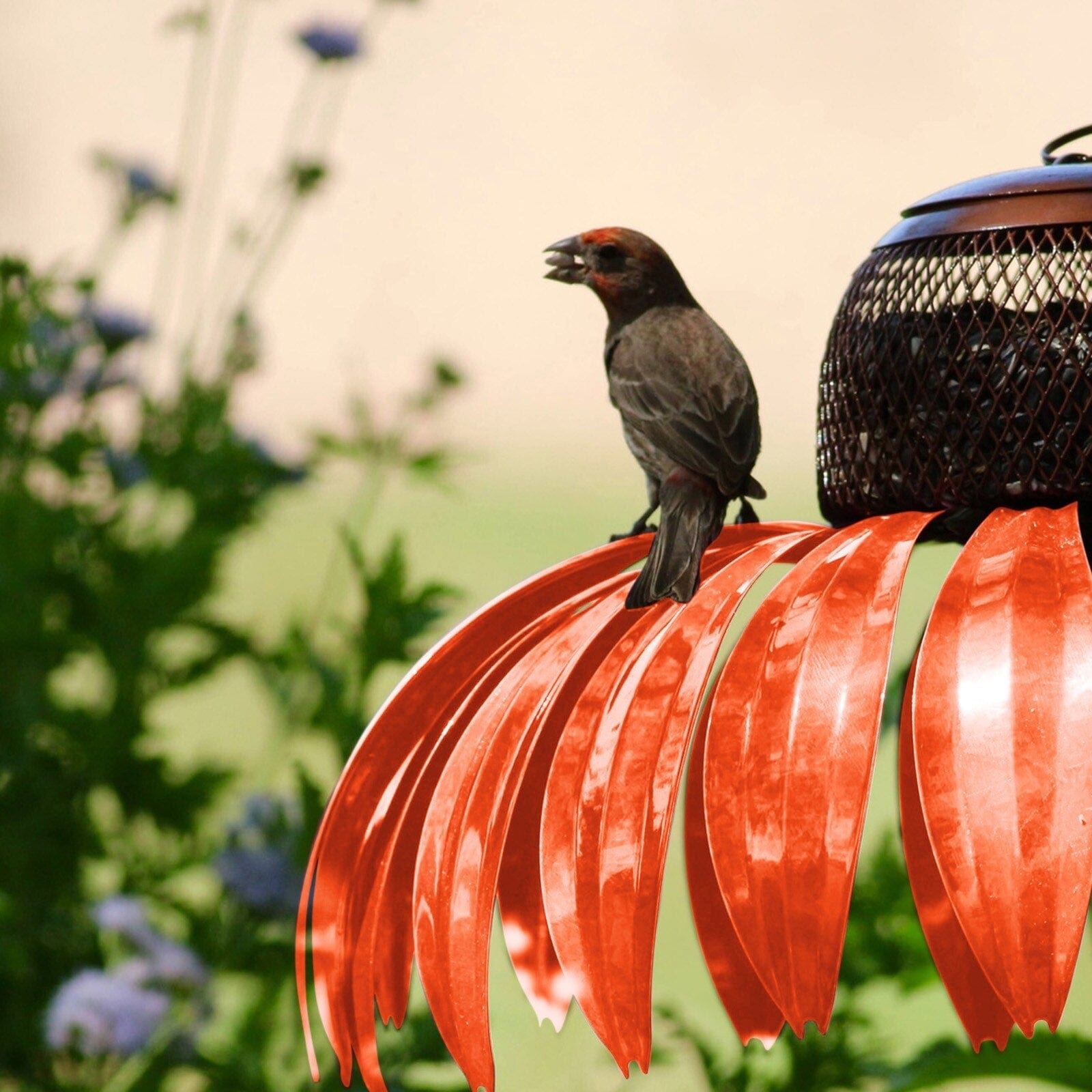 Vogelfutterhuis – 50% KORTING vandaag!