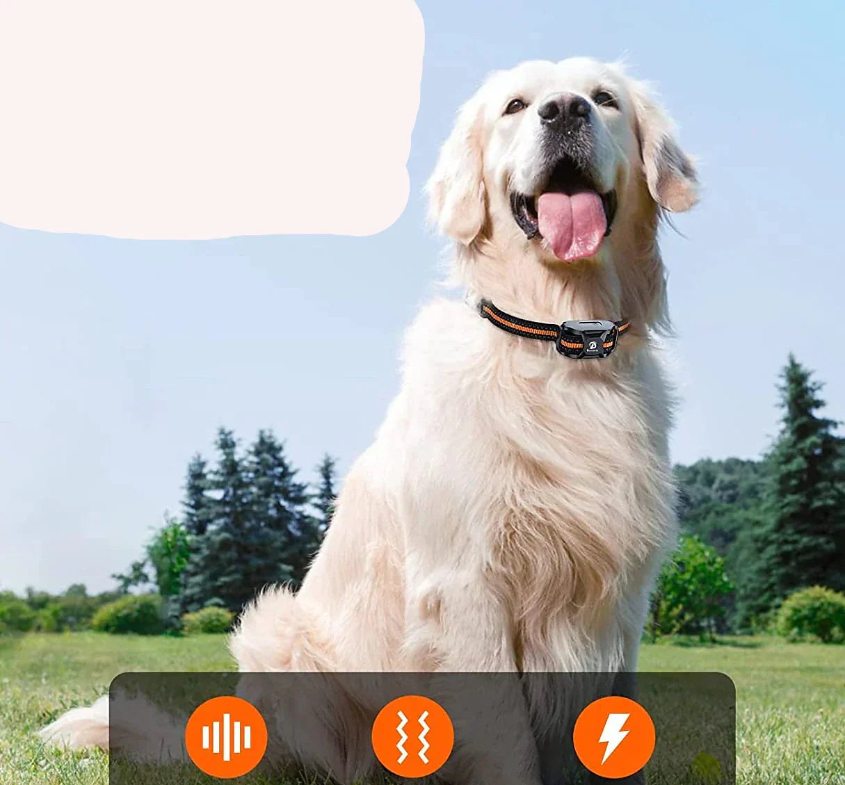 Premium 1000m Honden Trainingshalsband met Afstandsbediening - Waterdicht, Oplaadbare E-halsband voor alle honden groottes