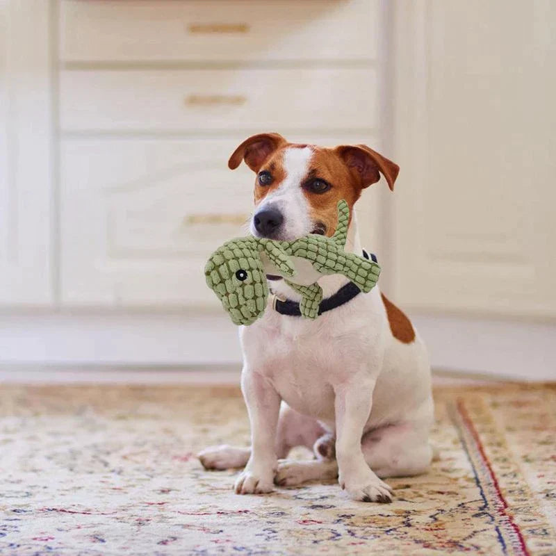 1+1 GRATIS | DinoPet - Het veilige, onverwoestbare speelgoed!