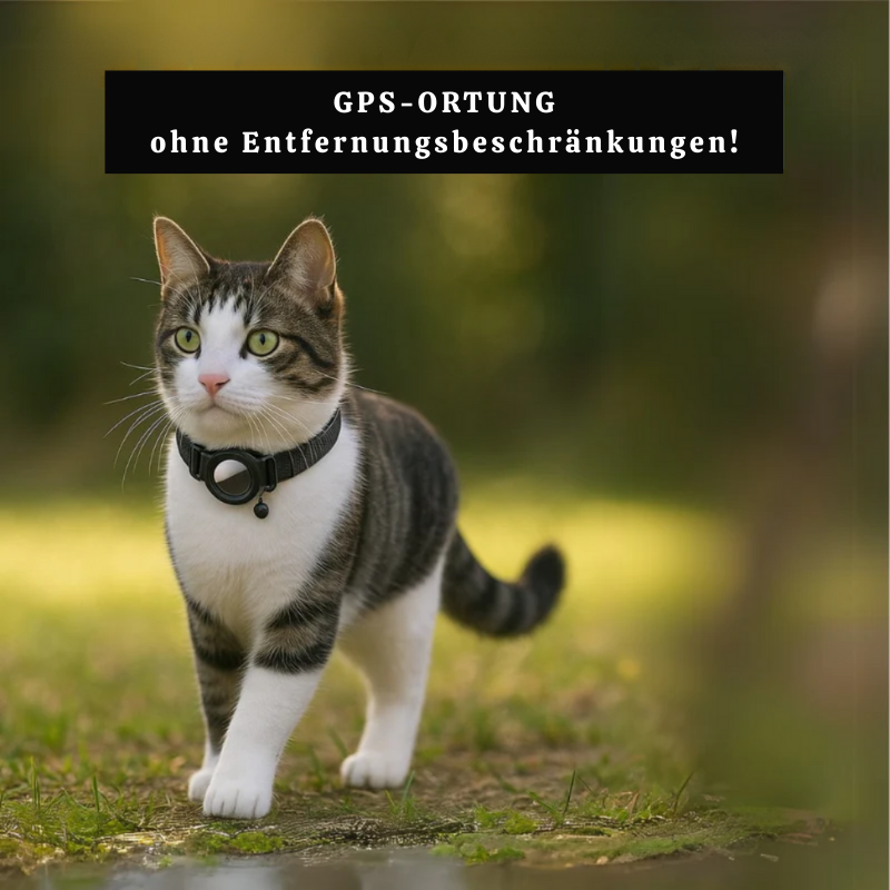 PawTrack Pro GPS Huisdier Tracker | Slimme tracking voor de veiligheid van uw harige vriend