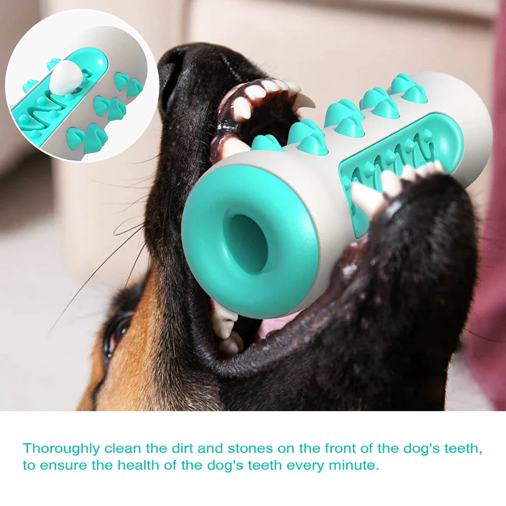 ChewCare Pro Hondenpoetsborstel-Kauwspeeltje | Interactieve Kauwtak voor middelgrote & grote honden | Tandreiniging & Stressvermindering