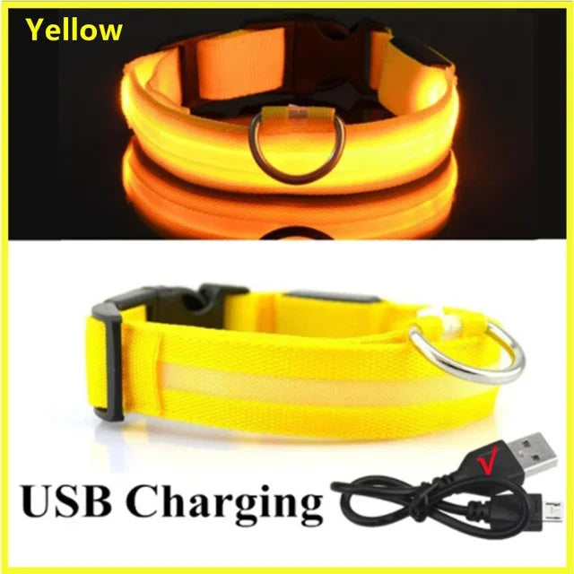 LUXPETS GlowSafe LED Hondenhalsband | Verlicht & Oplaadbaar | Verstelbaar & Waterdicht | Anti-Verlies in de Nacht