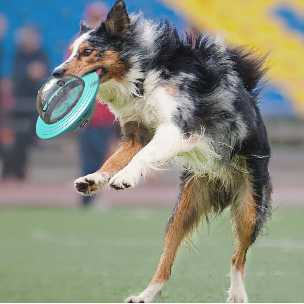 SmartPlay Disc Honden- & Katten Speelgoed | Interactieve Voederdispenser & Intelligentie Trainer | Frisbee & Slow Feeder