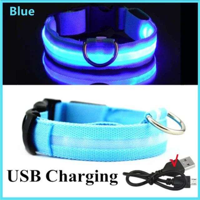 LUXPETS GlowSafe LED Hondenhalsband | Verlicht & Oplaadbaar | Verstelbaar & Waterdicht | Anti-Verlies in de Nacht