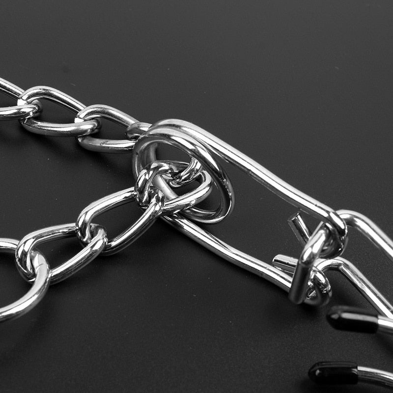 Honden Pincher Halsband - Stijl B