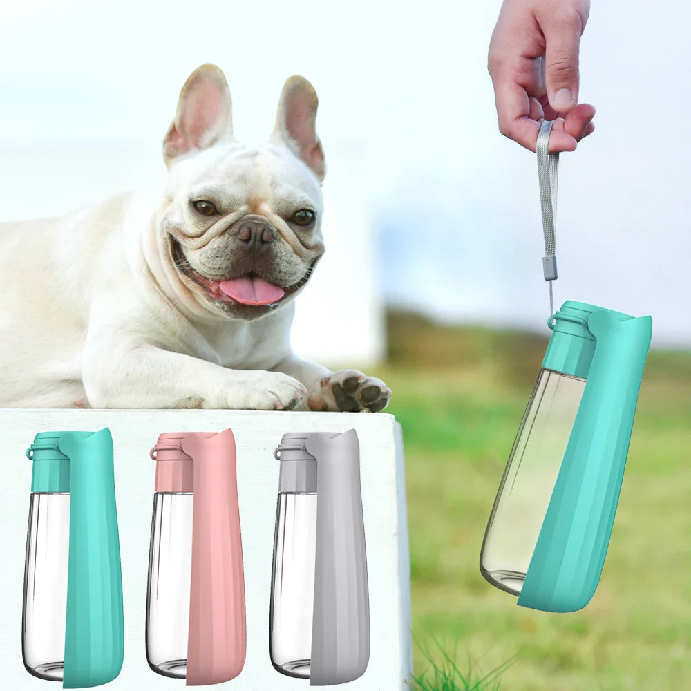 Honden Drinkfles Lapuro FoldDrink | Opvouwbare waterdispenser voor onderweg | 550 ml | Voor kleine & grote honden en katten