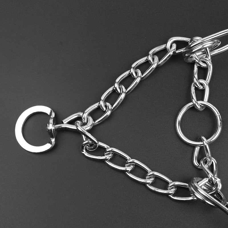 Honden Pincher Halsband - Stijl B