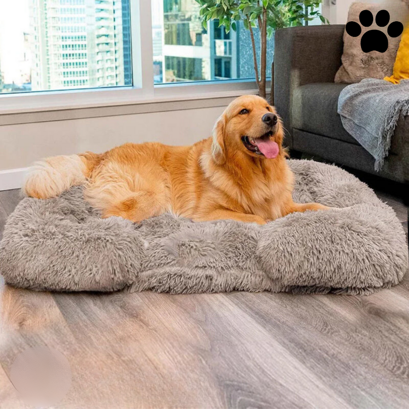 Orthopedisch Geheugenfoam Hondenbed met Waterdichte Voering – Groot Comfortabel Hondenbed voor Betere Slaap en Ondersteuning
