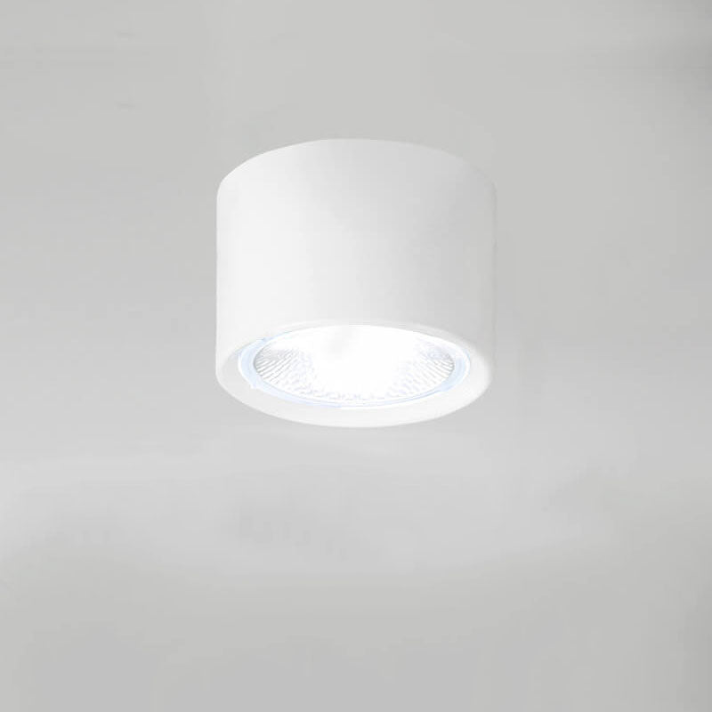 Frendorf | LED Plafondspot Cilinder | Verstelbaar Spotlight Design