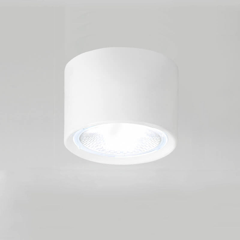 Frendorf | LED Plafondspot Cilinder | Verstelbaar Spotlight Design