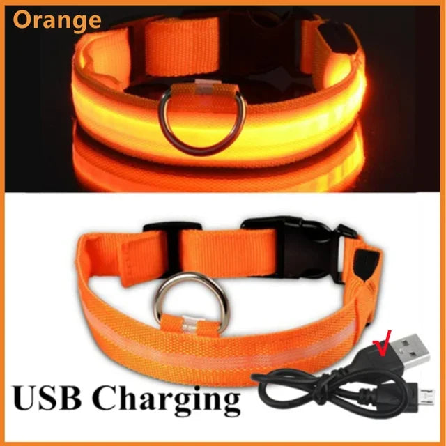 LUXPETS GlowSafe LED Hondenhalsband | Verlicht & Oplaadbaar | Verstelbaar & Waterdicht | Anti-Verlies in de Nacht