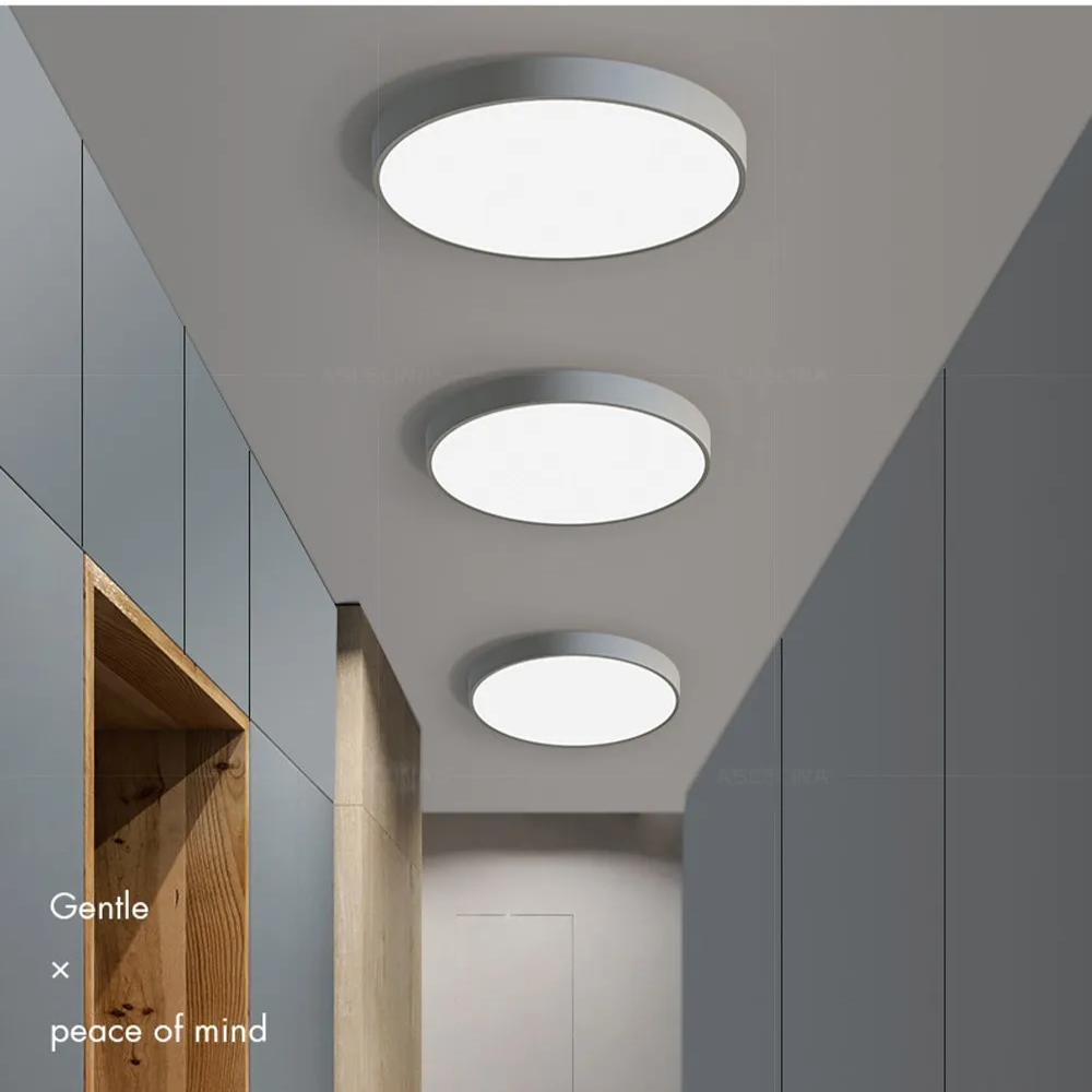 Moderne Minimalistische Ronde LED Plafondlamp 1-Licht